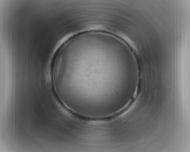 X0000115561118200911131621