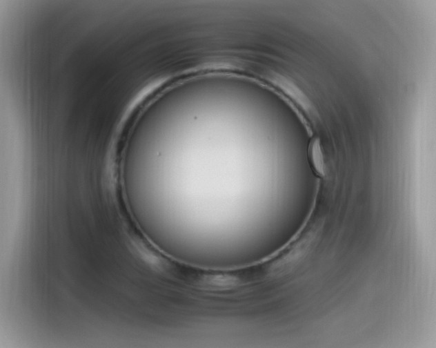 X0000115561119200911131621