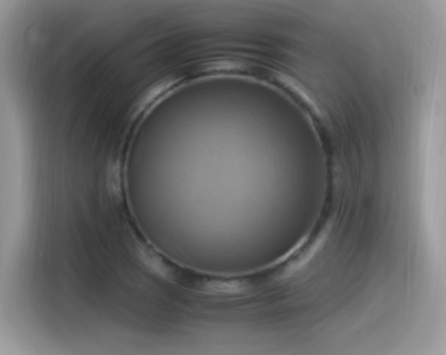 X0000115561121200911131621
