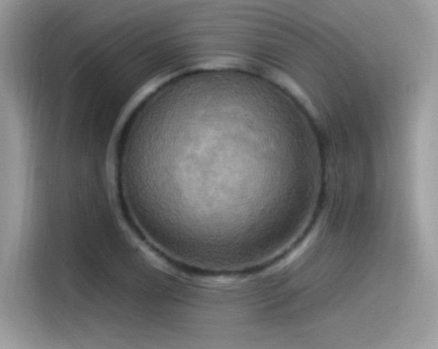 X0000115561122200911131621