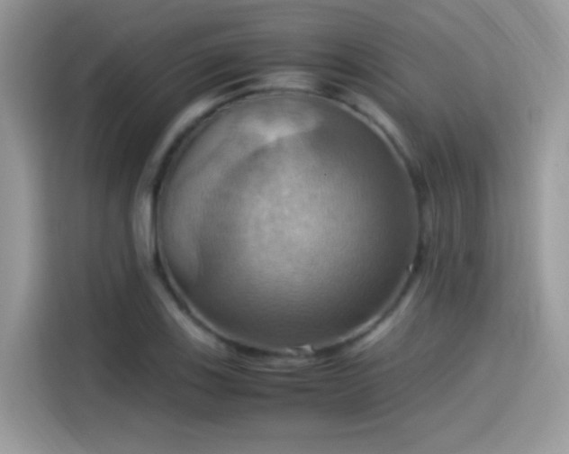 X0000115561123200911131621