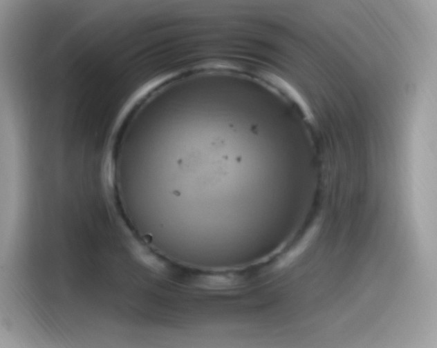 X0000115561125200911131621