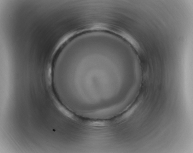 X0000115561126200911131621