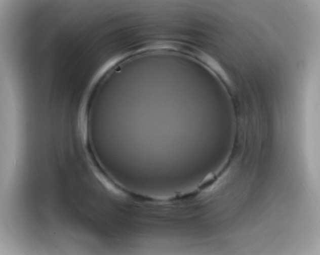 X0000115561127200911131621