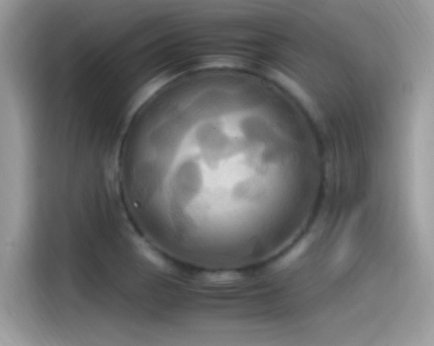 X0000115561129200911131621