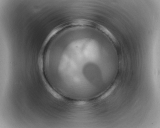X0000115561130200911131621