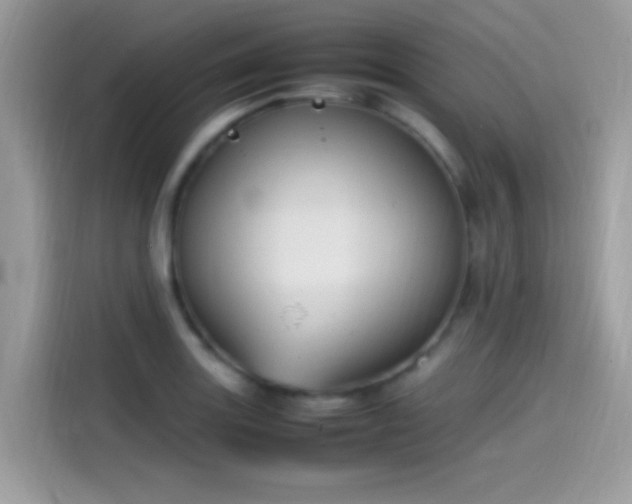 X0000115561131200911131621