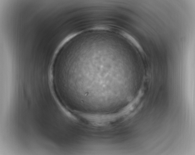 X0000115561133200911131621