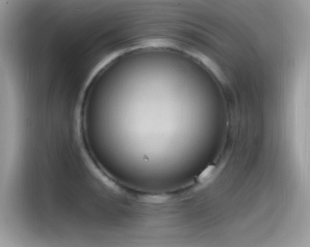 X0000115561134200911131621