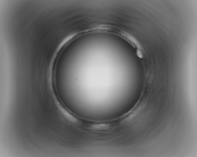 X0000115561135200911131621
