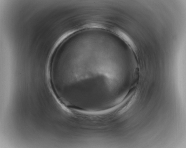 X0000115561141200911131621