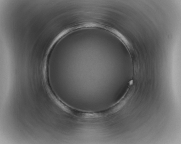 X0000115561142200911131621