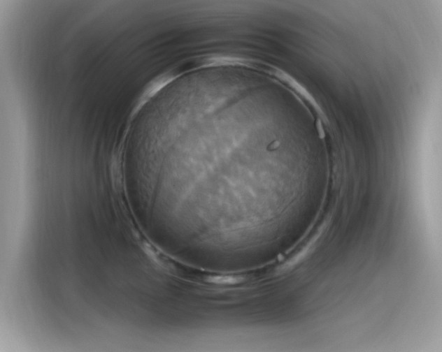 X0000115561145200911131621