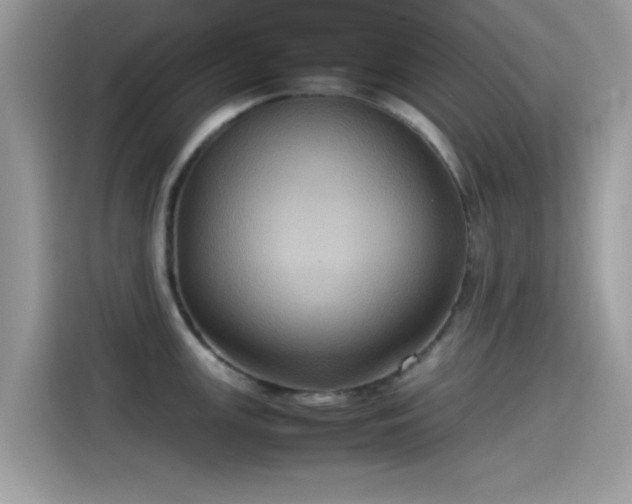 X0000115561147200911131621
