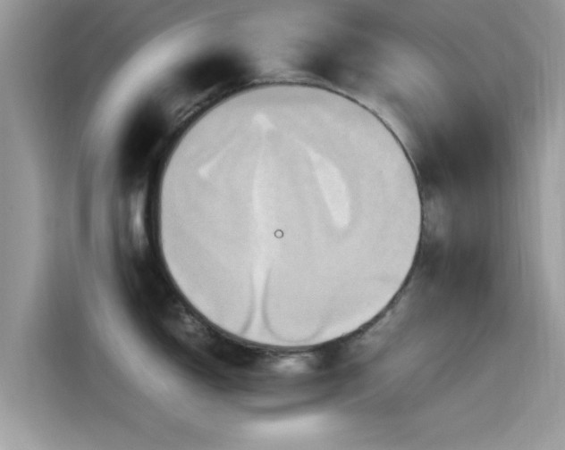 X0000115561150200911131621