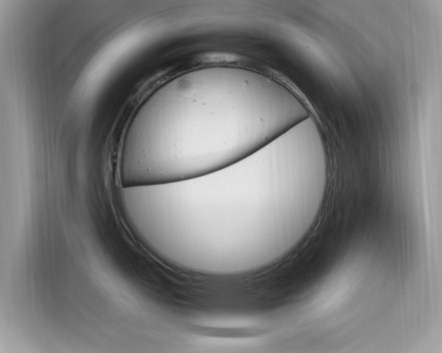 X0000115561151200911131622