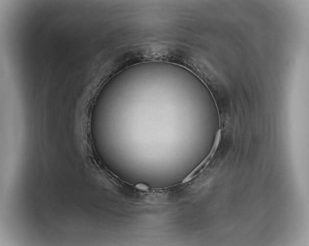 X0000115561153200911131621