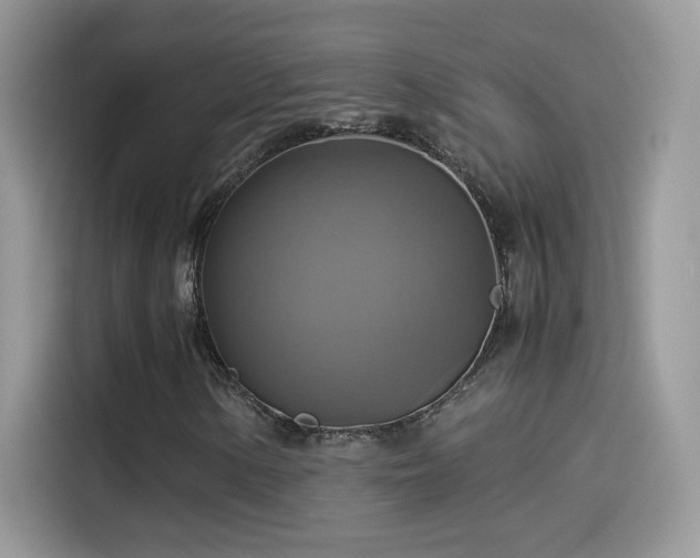 X0000115561154200911131621
