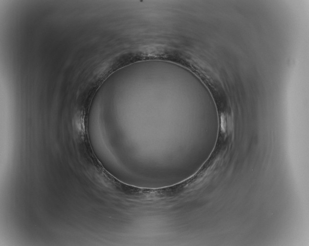 X0000115561155200911131621