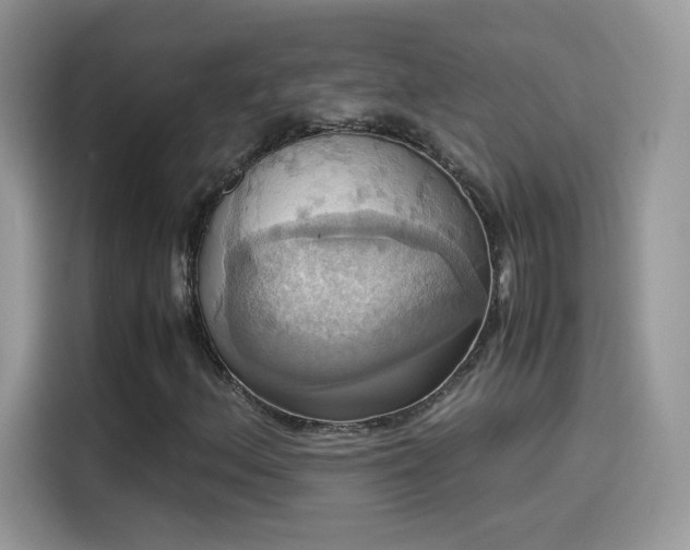 X0000115561156200911131621