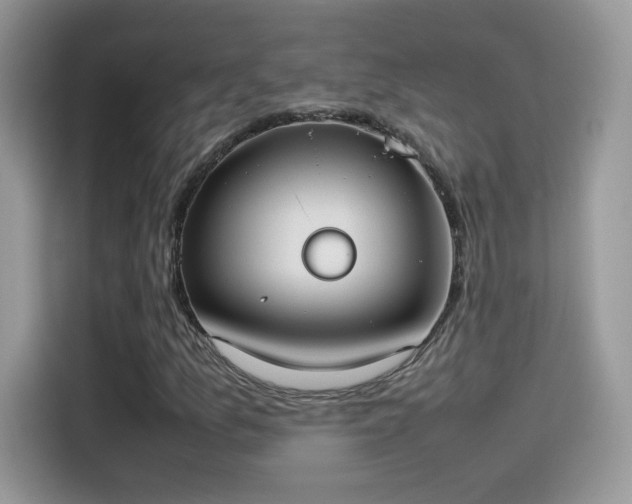 X0000115561157200911131621