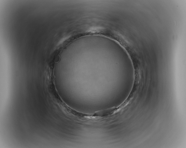 X0000115561158200911131621