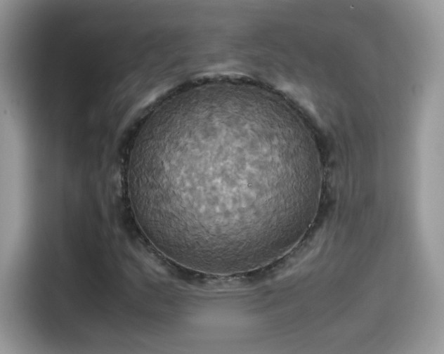 X0000115561159200911131621