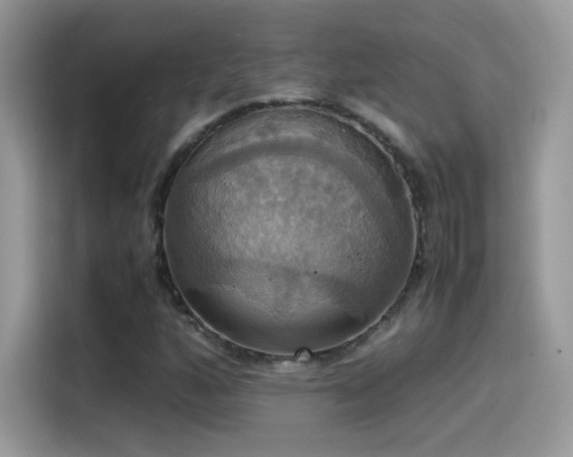X0000115561160200911131621