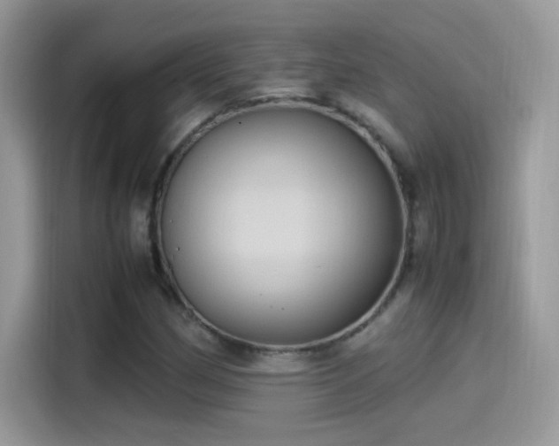 X0000115561162200911131621