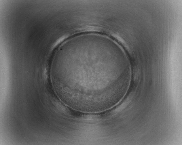 X0000115561163200911131621