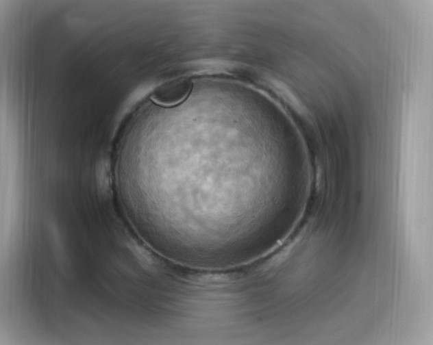 X0000115561164200911131621