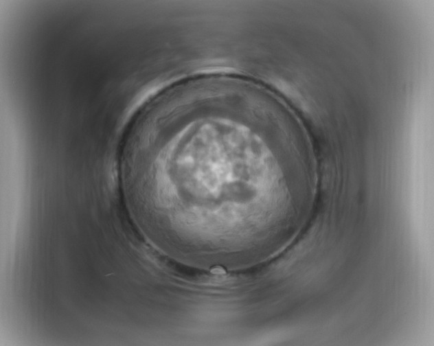 X0000115561167200911131621