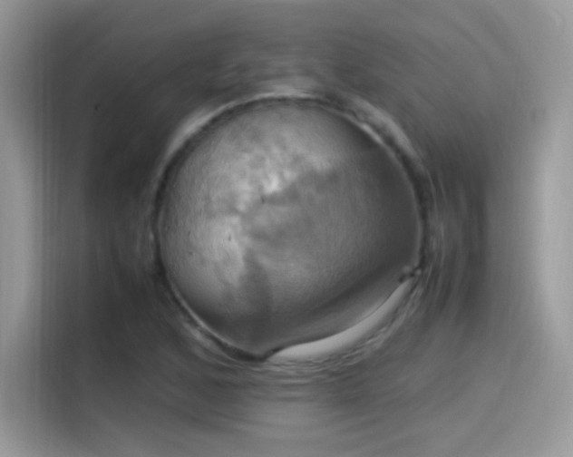 X0000115561168200911131621