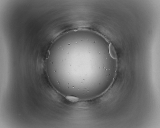 X0000115561169200911131621