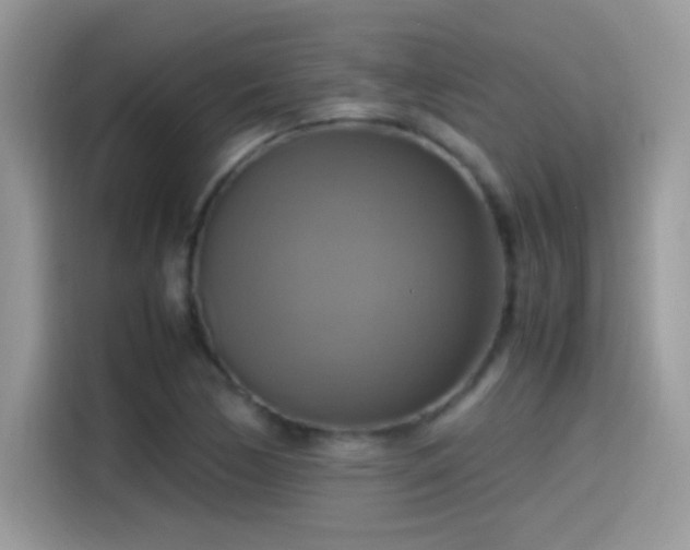 X0000115561170200911131621