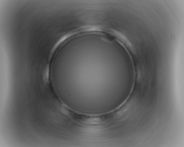 X0000115561174200911131621