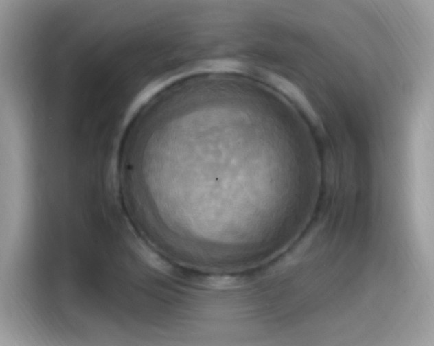 X0000115561176200911131620
