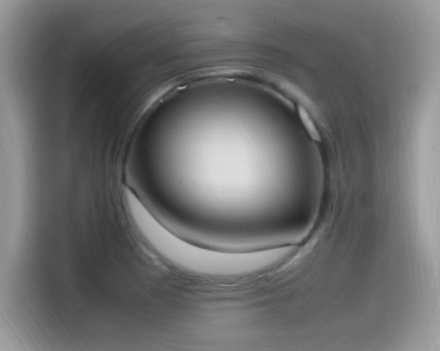 X0000115561177200911131620