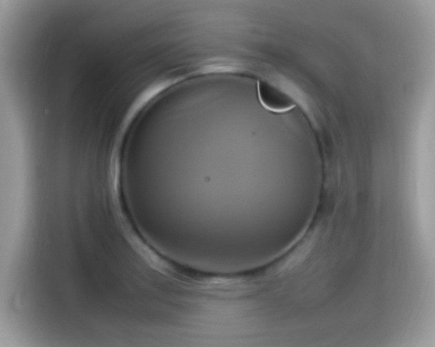 X0000115561179200911131620
