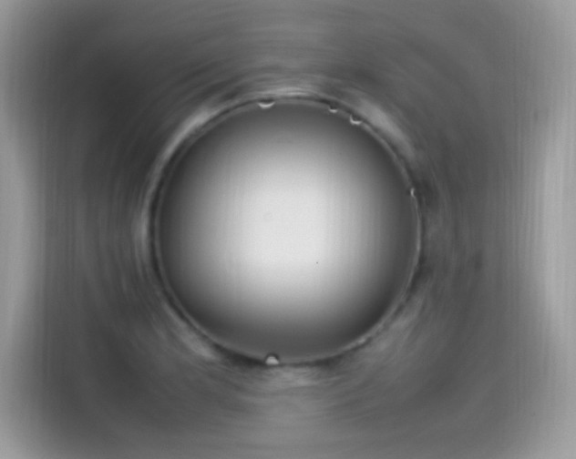 X0000115561181200911131620