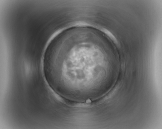 X0000115561183200911131620
