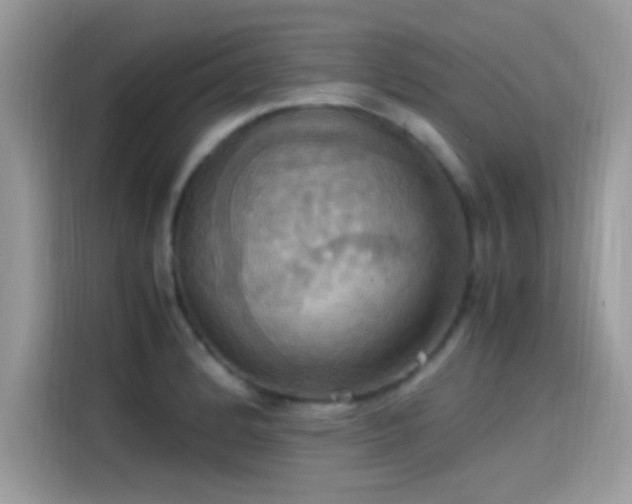 X0000115561184200911131620