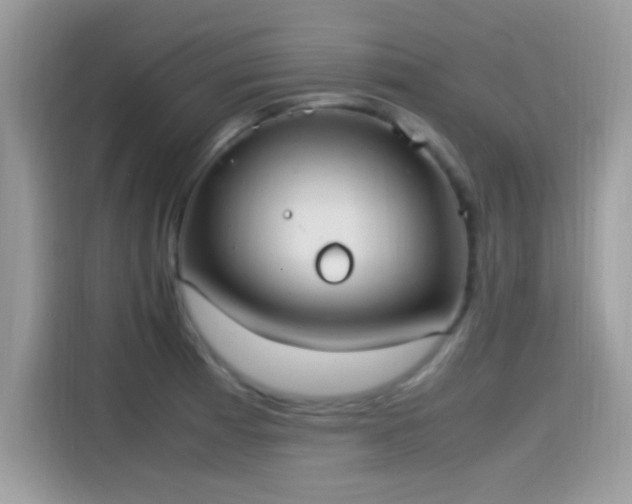 X0000115561185200911131620