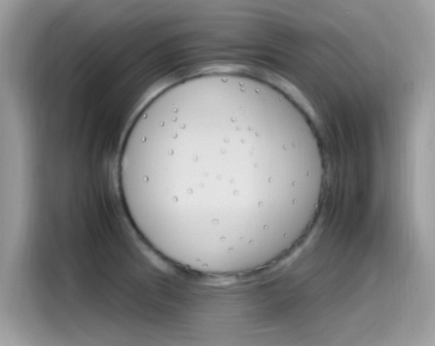 X0000115561186200911131620