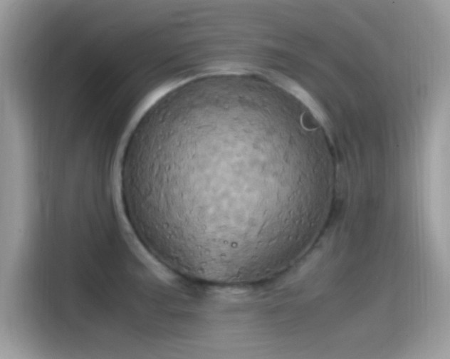 X0000115561187200911131620