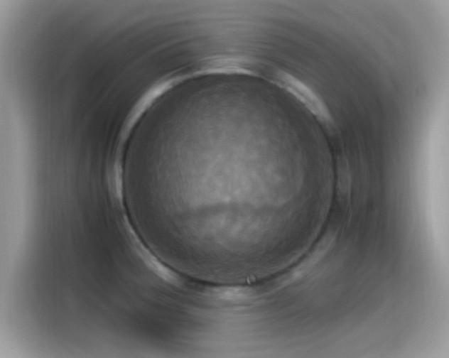X0000115561188200911131620
