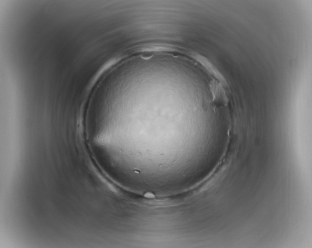 X0000115561189200911131620