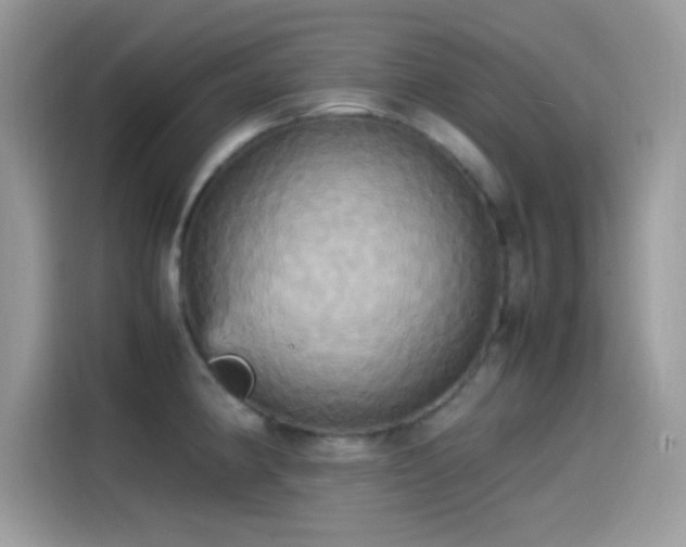 X0000115561190200911131620