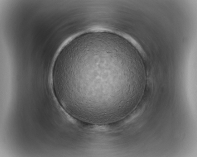 X0000115561191200911131620