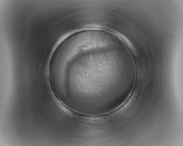 X0000115561192200911131620